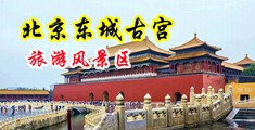 操屄黄色视频在线观看中国北京-东城古宫旅游风景区